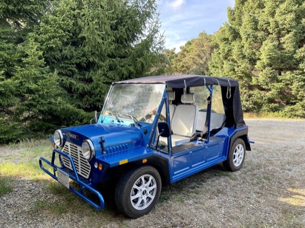 Used-2018-ACG-Moke-EV